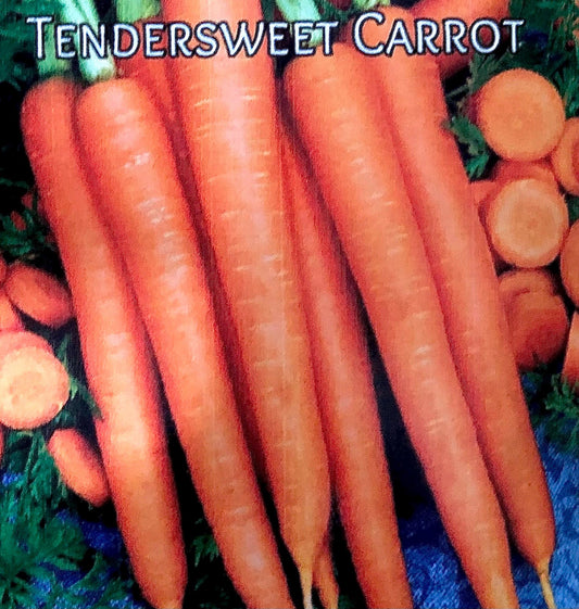 Tendersweet - Carrot Seeds