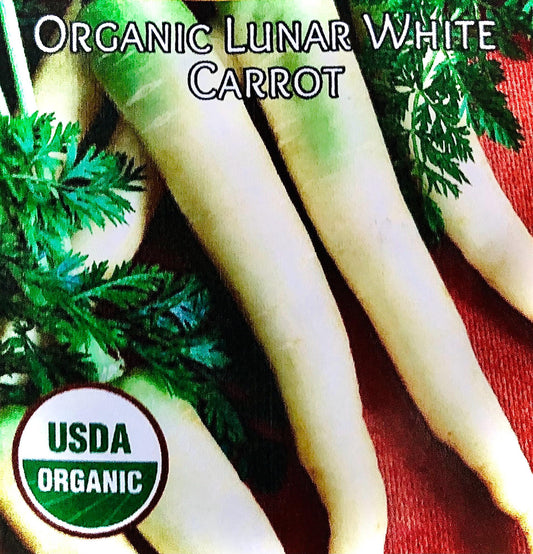 Lunar White - Carrot Seeds