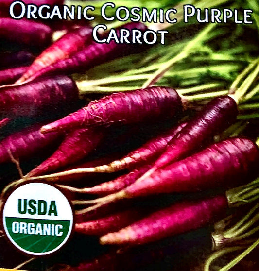 Cosmic Purple - Carrot Seeds