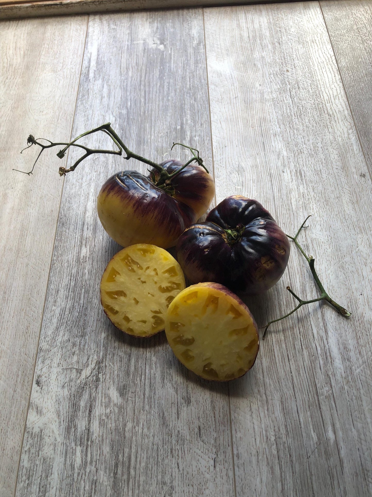 Sart Roloise - Tomato Seeds