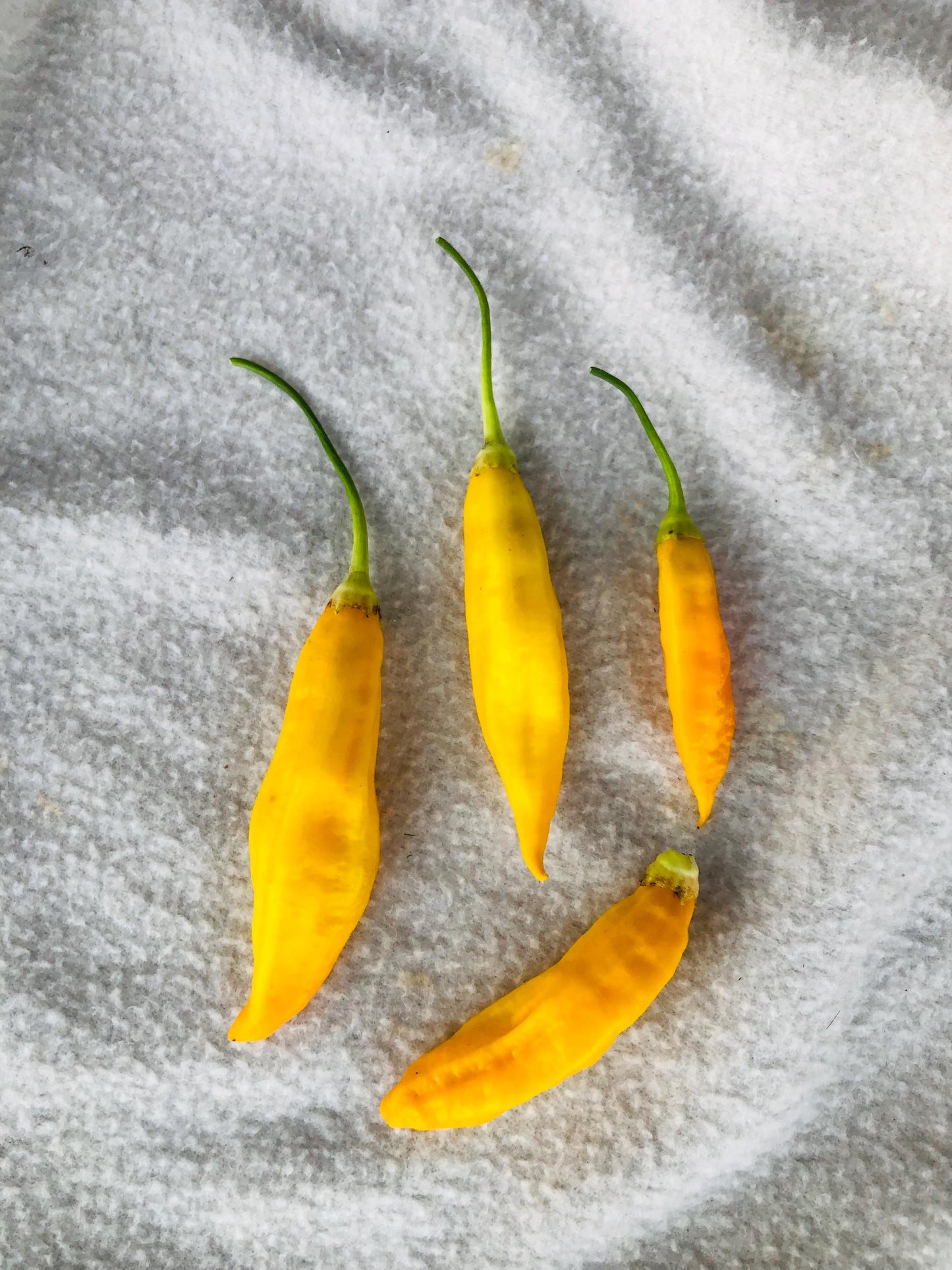 Aji Pineapple - Pepper Seeds